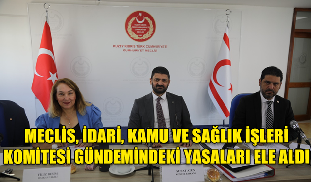 MECLİS, İDARİ, KAMU VE SAĞLIK İŞLERİ KOMİTESİ GÜNDEMİNDEKİ YASALARI ELE ALDI