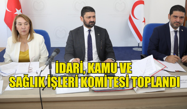 İDARİ, KAMU VE SAĞLIK İŞLERİ KOMİTESİ TOPLANDI