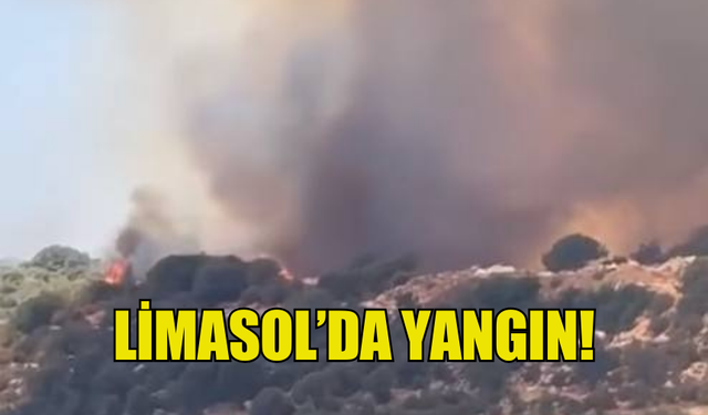 LİMASOL BÖLGESİNDE YANGIN ÇIKTI