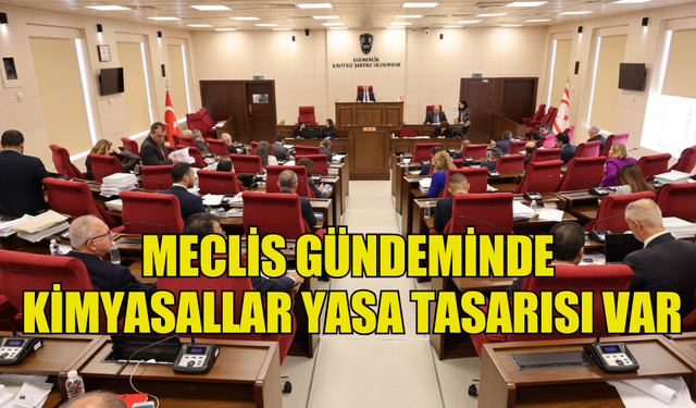 MECLİS GENEL KURULU’NDA KİMYASALLAR YASA TASARISI ELE ALINIYOR