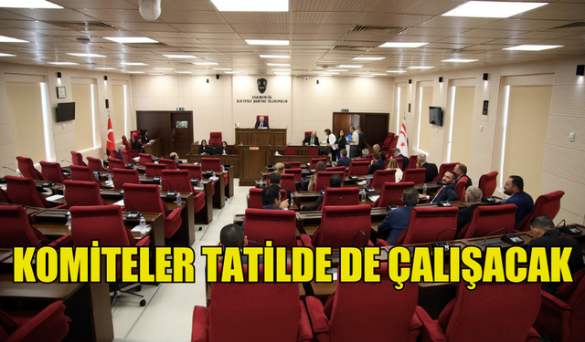 MECLİSTE İVEDİLİK TEZKERELERİ ONAYLANDI