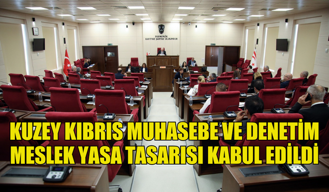 KUZEY KIBRIS MUHASEBE VE DENETİM MESLEK YASA TASARISI OY BİRLİĞİYLE KABUL EDİLDİ