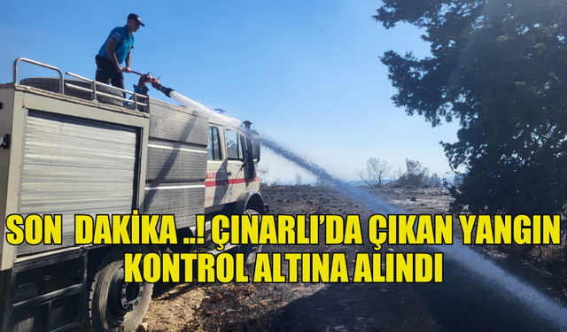 SON  DAKİKA ..! ÇINARLI’DA ÇIKAN YANGIN KONTROL ALTINA ALINDI