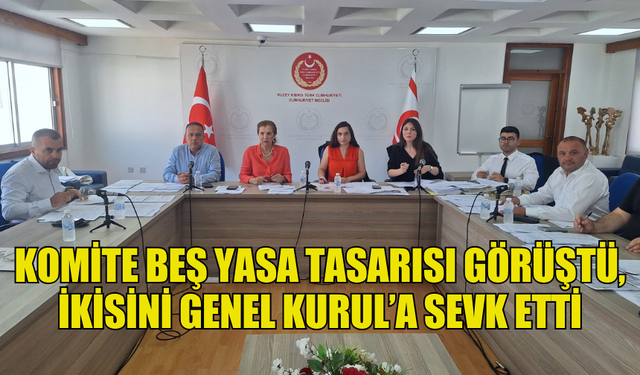 KOMİTE BEŞ YASA TASARISI GÖRÜŞTÜ, İKİSİNİ GENEL KURUL’A SEVK ETTİ