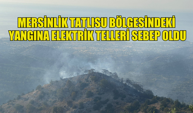 MERSİNLİK TATLISU BÖLGESİNDEKİ YANGINA ELEKTRİK TELLERİ SEBEP OLDU