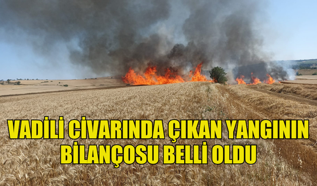 VADİLİ CİVARINDA ÇIKAN YANGININ BİLANÇOSU BELLİ OLDU