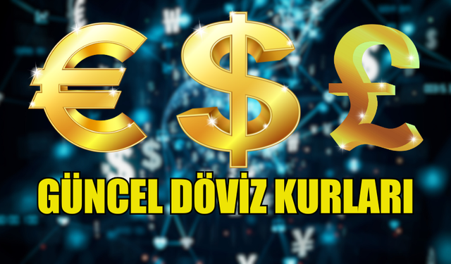 GÜNCEL DÖVİZ KURLARI (29.06.2024)