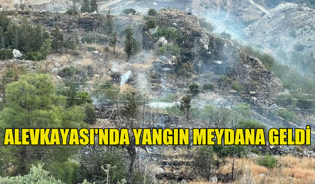 ALEVKAYASI'NDA YANGIN MEYDANA GELDİ