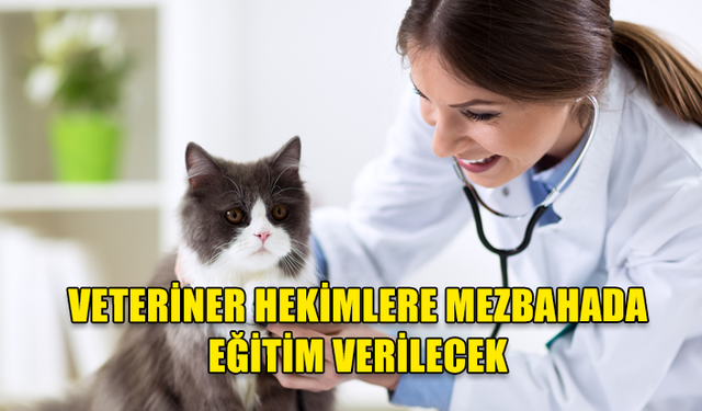 TARIM VE DOĞAL KAYNAKLAR BAKANLIĞI'NDAN VETERİNER HEKİMLERE YÖNELİK EĞİTİM