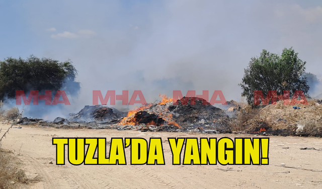 TUZLA'DA YANGIN MEYDANA GELDİ