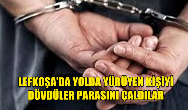 ARAÇTAN İNDİLER, REFÜJDE YÜRÜYEN KİŞİYİ DARP EDİP SOYDULAR