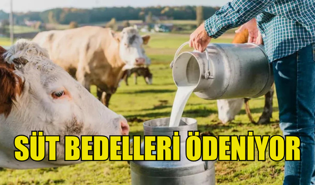 SÜT BEDELLERİ ÖDENDİ