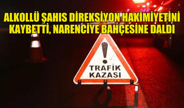 ALKOLLÜ ŞAHIS DİREKSİYON HAKİMİYETİNİ KAYBEDİNCE NARENCİYE BAHÇESİNE GİRDİ