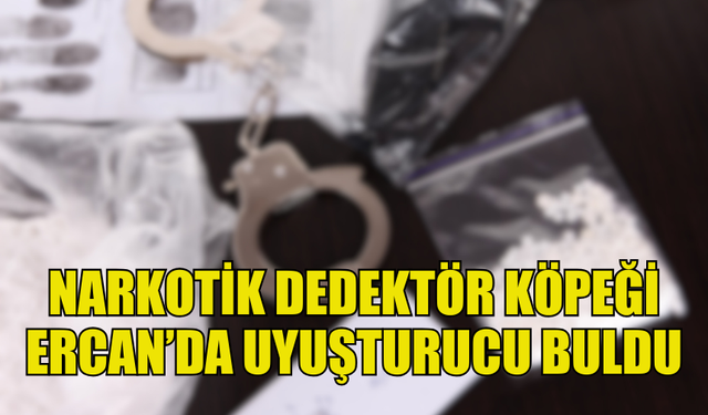 KKTC'YE GİRİŞ YAPAN ŞAHSIN ÜZERİNDE NARKOTİK DEDEKTÖR KÖPEĞİ UYUŞTURUCU BULDU