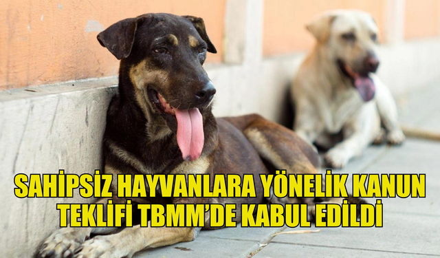 SAHİPSİZ HAYVANLARA YÖNELİK KANUN TEKLİFİNİ KABUL EDEN TBMM GENEL KURULU TATİLE GİRDİ