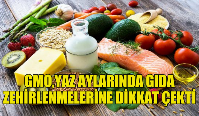 YAZ AYLARINDA YAŞANAN GIDA ZEHİRLENMELERİNE DİKKAT ÇEKTİ