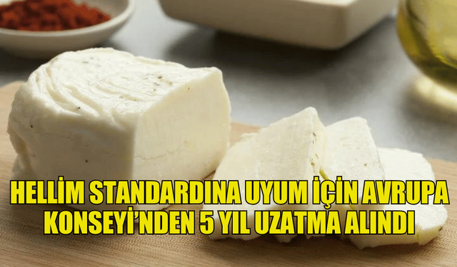 HELLİM STANDARDINA UYUM İÇİN AVRUPA KONSEYİ’NDEN 5 YIL DAHA SÜRE ALINDI