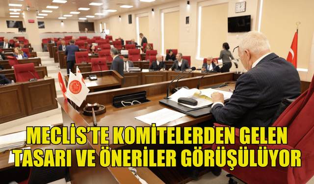 CUMHURİYET MECLİSİ'NDE KOMİTELERDEN GELEN TASARI VE ÖNERİLER GÖRÜŞÜLÜYOR