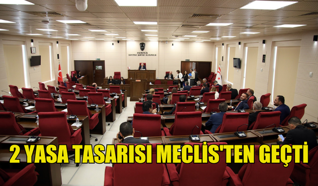 MÜCAHİT VE GAZİLER İLE EMLAKÇILAR BİRLİĞİ'NE İLİŞKİN TASARILAR MECLİS'TEN GEÇTİ