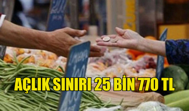 KTAMS : DÖRT KİŞİLİK BİR AİLENİN AÇLIK SINIRI 25 BİN 770 TL