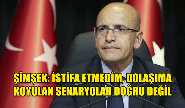 ŞİMŞEK: İSTİFA ETMEDİM, DOLAŞIMA KOYULAN SENARYOLAR DOĞRU DEĞİL