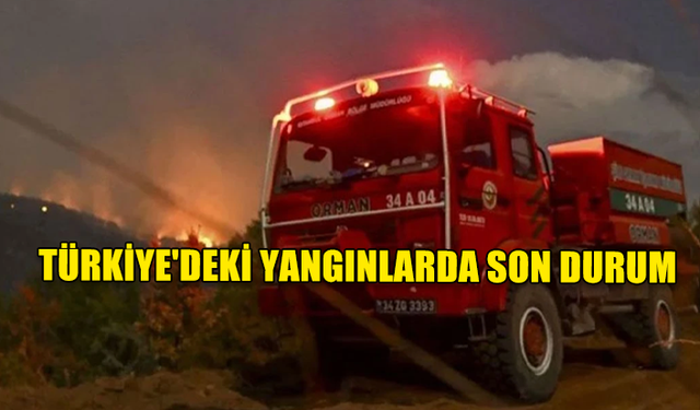 TÜRKİYE'DEKİ YANGINLARDA SON DURUM