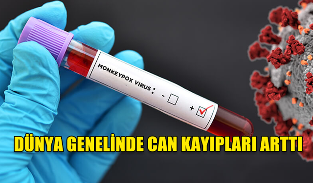 DÜNYA GENELİNDE CAN KAYIPLARI ARTTI