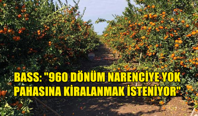 BASS: "960 DÖNÜM NARENCİYE YOK PAHASINA KİRALANMAK İSTENİYOR"