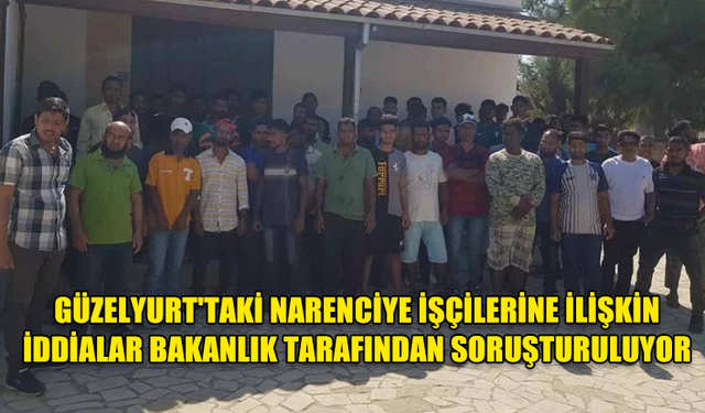 GÜZELYURT’TAKİ NARENCİYE İŞÇİLERİYLE İLGİLİ İDDİALARIN BAKANLIK TARAFINDAN SORUŞTURULDUĞU AÇIKLANDI