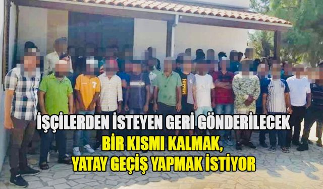 GÜZELYURT'TA NARENCİYE KESİM İŞÇİSİ OLARAK GETİRİLEN İŞÇİLERDEN İSTEYENLER GERİ GÖNDERİLECEK