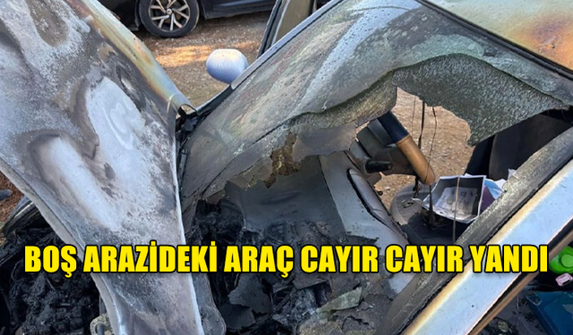 BOŞ ARAZİDEKİ ARAÇ CAYIR CAYIR YANDI