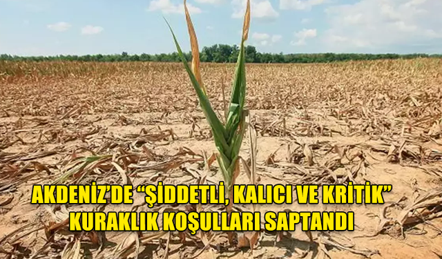 AKDENİZ’DE “ŞİDDETLİ, KALICI VE KRİTİK” KURAKLIK KOŞULLARI SAPTANDI