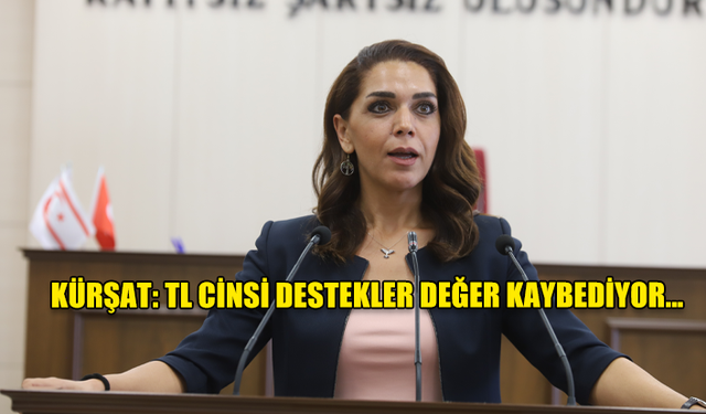 KÜRŞAT: TL CİNSİ DESTEKLER DEĞER KAYBEDİYOR…