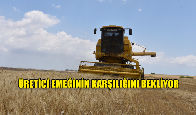 ÜRETİCİ EMEĞİNİN KARŞILIĞINI BEKLİYOR