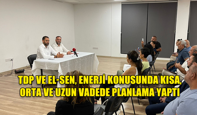 TDP VE EL-SEN, ENERJİ KONUSUNDA KISA, ORTA VE UZUN VADEDE PLANLAMA YAPTI