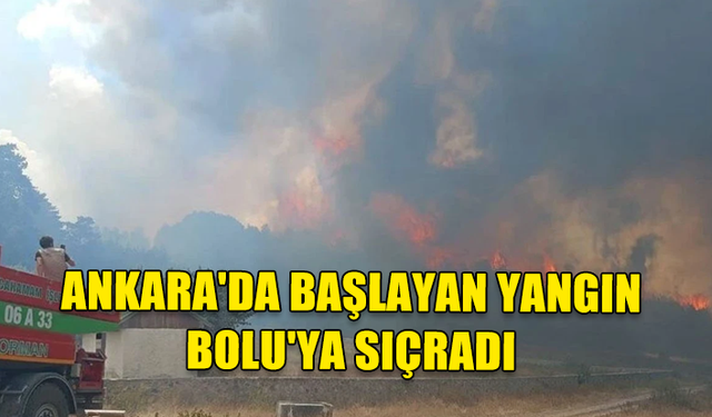 ANKARA'DA BAŞLAYAN YANGIN BOLU'YA SIÇRADI