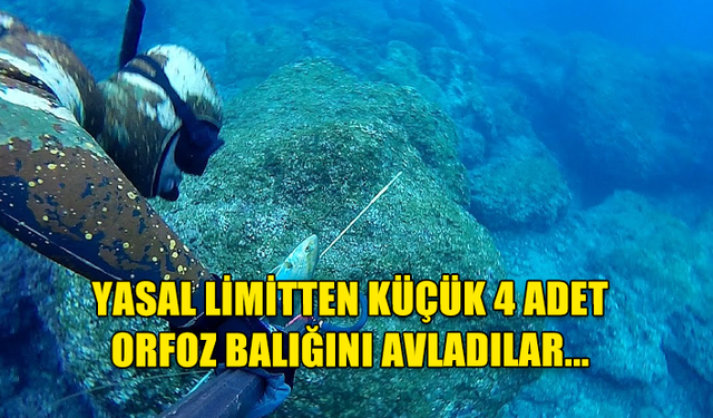 YASAL LİMİTTEN KÜÇÜK 4 ADET ORFOZ BALIĞINI AVLADILAR...