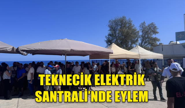 TEKNECİK ELEKTRİK SANTRALİ’NDE EYLEM