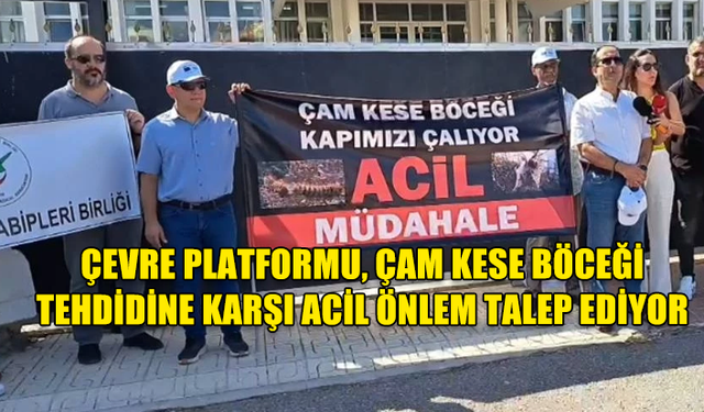 ÇEVRE PLATFORMU, ÇAM KESE BÖCEĞİ TEHDİDİNE KARŞI ACİL ÖNLEM TALEP EDİYOR