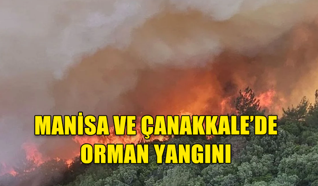 MANİSA VE ÇANAKKALE’DE ORMAN YANGINI