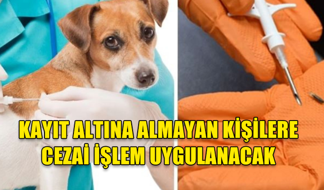 İSKELE BELEDİYESİ SINIRLARINDAKİ KÖPEKLER KAYIT ALTINA ALTINA ALINACAK MİKROÇİP TAKILACAK