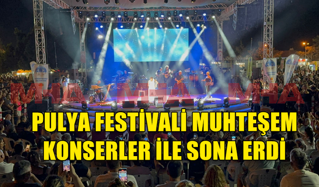 YENİBOĞAZİÇİ PULYA FESTİVALİ'NİN SON GECESİNDE RETRO ÇALGICILARI VE EMRE ALTUĞ RÜZGÂRI