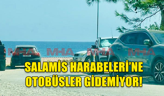 SALAMİS HARABELERİ HAFTASONLARI ZİYARET EDİLEMİYOR