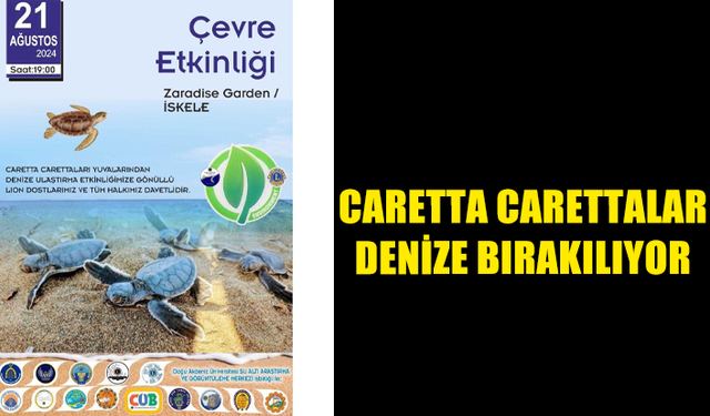 İSKELE SAHİLİNDE BUGÜN CARETTA CARETTALAR DENİZE BIRAKILIYOR