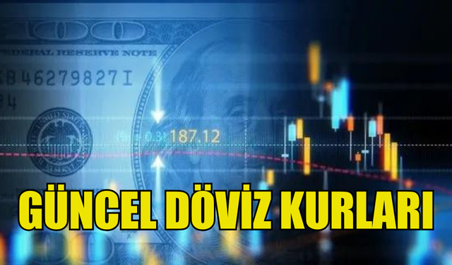 GÜNCEL DÖVİZ KURLARI (8.08.2024)