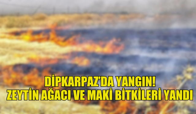 DİPKARPAZ'DA ÇIKAN  YANGINDA  10 DÖNÜM ARAZİ ZARAR GÖRDÜ