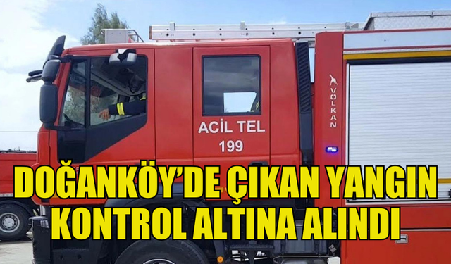 DOĞANKÖY'DE ÇIKAN YANGIN KONTROL ALTINA ALINDI, SOĞUTMA ÇALIŞMALARI SÜRÜYOR