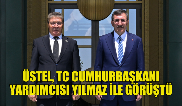 BAŞBAKAN ÜNAL ÜSTEL, TC CUMHURBAŞKANI YARDIMCISI YILMAZ İLE GÖRÜŞTÜ