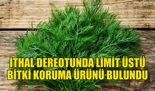 İTHAL DEREOTUNDA LİMİT ÜSTÜ BİTKİ KORUMA ÜRÜNÜ TESPİT EDİLDİ