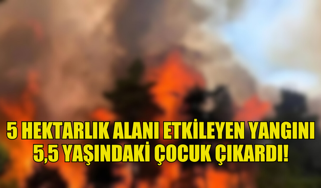 LİMASOL’DA 5 HEKTARLIK ALANI ETKİLEYEN YANGINI 5,5 YAŞINDAKİ BİR ÇOCUK ÇIKARDI